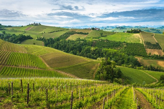 En este momento estás viendo Vinos de la Región Piamonte de Italia