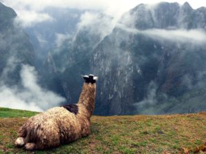 Lee más sobre el artículo 11 Razones para visitar Perú